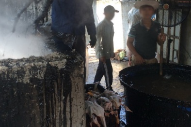 Phát hiện cơ sở nhổ lông gà, vịt bằng hóa chất 