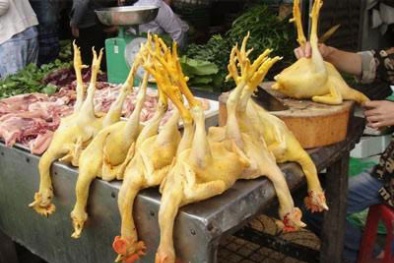120 ngàn đồng /kg vàng ô: Chất độc ung thư ăn trực tiếp mỗi ngày