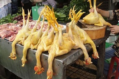 Hoang mang với màu thực phẩm gây ung thư 