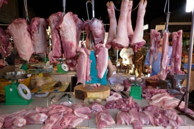 Mổ 5 con lợn đã chết chuẩn bị đưa đi tiêu thụ trong âm thầm