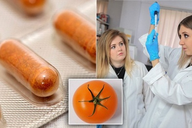 'Viên thuốc cà chua' chữa khỏi bệnh vô sinh ở nam giới 