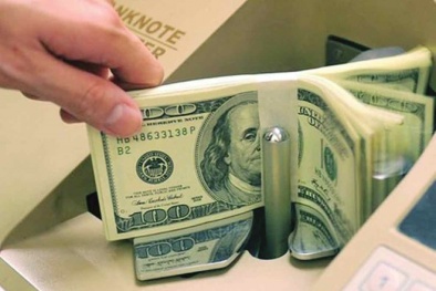 Đại gia Việt 'giấu' 7,3 tỷ USD ở nước ngoài