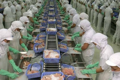 Hậu Giang đầu tư 6,7 tỷ để nâng cao năng suất chất lượng sản phẩm