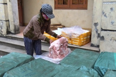 Cả tấn thịt thối bốc mùi theo xe tải rầm rầm tiến vào Quảng Trị