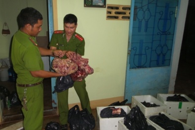 Chặn đứng 400kg thịt, xương heo bốc mùi hôi thối sắp ra thị trường