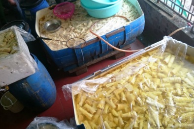 Tin tức thị trường trong ngày 14/4: Giòi 'dạo chơi' trong 5 tấn măng ở Nghệ An