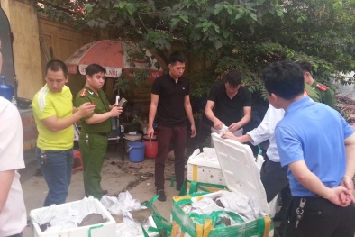 Xe khách biển số Hải Phòng chở lậu một tấn ba ba, và nhiều hóa chất