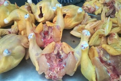 Phẫn nộ với đề xuất nhập khẩu gà Trung Quốc của Cục thú y