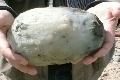 Tại sao long diên hương đắt và quý hơn vàng