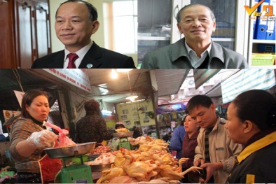 Đề xuất nhập gà Trung Quốc: Các chuyên gia kinh tế lo ngại điều gì?