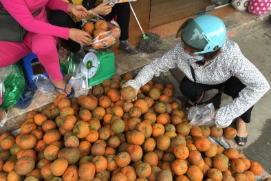 Sự thật cam Hà Giang quấn nilon ngập chợ Hà Nội