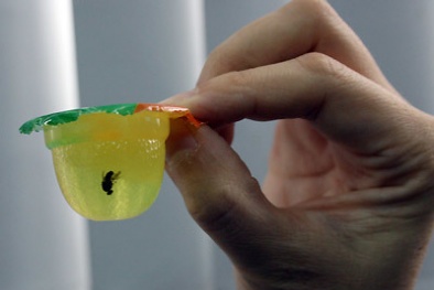 Với cách ứng xử này, Công ty TNHH Long Hải có thể sẽ còn nhiều 'thạch rau câu có ruồi'