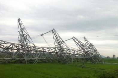 Giông lốc giật đổ cột điện đường dây 500 KV Quảng Ninh - Hiệp Hòa
