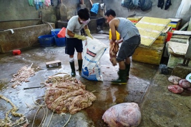 2 tạ nội tạng bò ngâm hóa chất đang được tuồn ra thị trường mỗi ngày