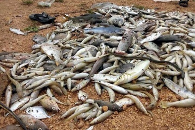 Tin tức thời sự 24h ngày 22/4: Ống xả hôi thối khổng lồ dưới đáy biển Vũng Áng