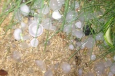 Dự báo thời tiết: Mưa đá trên diện rộng 'oanh tạc' Thừa Thiên-Huế