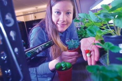 Nữ sinh chế robot làm vườn giúp trồng rau trên sao hỏa
