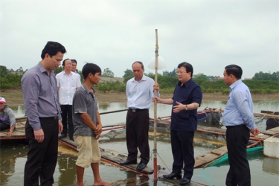 Phó Thủ tướng Trịnh Đình Dũng đích thân thị sát nơi cá chết hàng loạt 