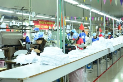 Dệt Kim Đông Xuân tăng năng suất lao động nhờ cải tiến quy trình sản xuất