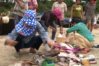 Thủ tướng chỉ đạo hỗ trợ người dân bị ảnh hưởng vì cá chết hàng loạt