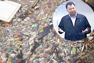 Con tôm, con cá hay Formosa, bài toán sẽ làm 'đau đầu' nhà chức trách