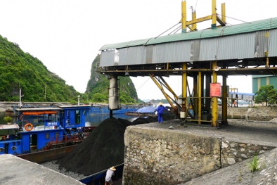 Công ty Tuyển than Hòn Gai: Nhiều giải pháp đẩy mạnh sản xuất, nâng cao NSCL