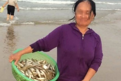 Xã Thanh Trạch xác nhận dân vẫn vớt cá chết hàng loạt bán cho thương lái
