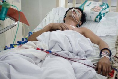 Thanh niên vội vàng nhập viện vì 2 người ăn bọ rầy cùng đã chết