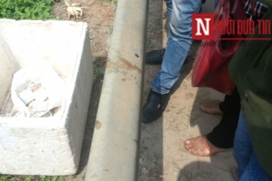 Vụ thi thể nằm trong bụi chuối: Nhiều vết máu đáng ngờ quanh hiện trường