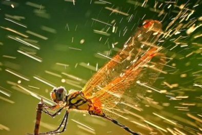 Dự báo thời tiết ngày mai 28/4/2016: Bắc Bộ đêm có mưa rào và dông 