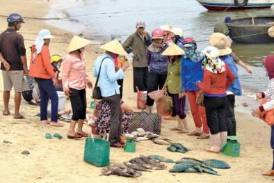 Hôm nay công bố thông tin quan trọng vụ cá chết hàng loạt ở miền Trung