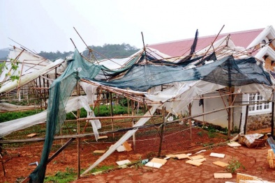 Lâm Đồng: Mưa đá, giông lốc “xé toạc” nhà kính, làm tốc mái 6 căn nhà