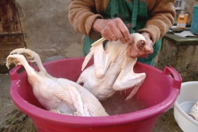 Án mạng kinh hoàng tại đám cưới vì con gà đang vặt lông
