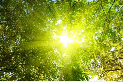 Dự báo thời tiết ngày mai 30/4/2016: Bắc Bộ mây thay đổi, ngày nắng nóng 