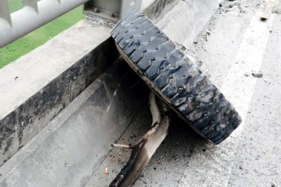 Mải mê đánh võng, xe tải ‘thổi bay’ 7 nhịp lan can cầu Vĩnh Tuy