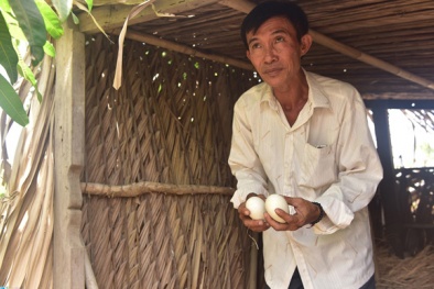 Viện KSND Tối cao kết luận vụ chủ đất quán cà phê Xin Chào bị khởi tố vì dựng chòi vịt