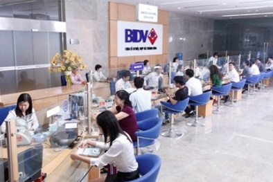 Ông Trần Bắc Hà: BIDV sẽ giảm lãi suất ngay