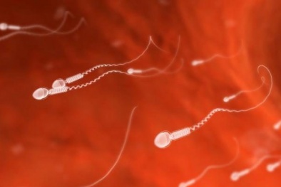 Nuôi cấy tinh trùng từ tế bào da: Hy vọng mới cho người vô sinh