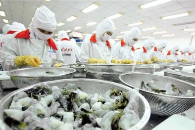 5 chính sách mới có hiệu lực từ tháng 5/2016