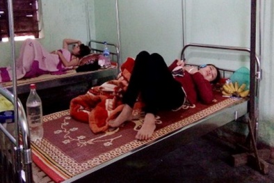 27 người ngộ độc hải sản tập thể ở Quảng Bình: Không phải do ăn cá