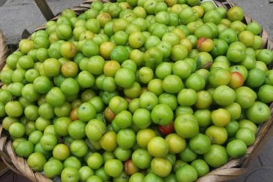 Mận cơm Lạng Sơn được giá