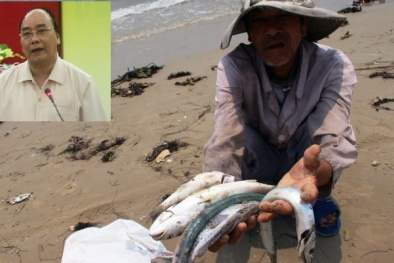 Thủ tướng Nguyễn Xuân Phúc: Không bao che bất cứ ai trong vụ cá chết