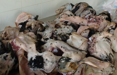 Tin an toàn thực phẩm hot ngày 1/5: Chế biến cả tấn thịt hôi thối cho quán ăn