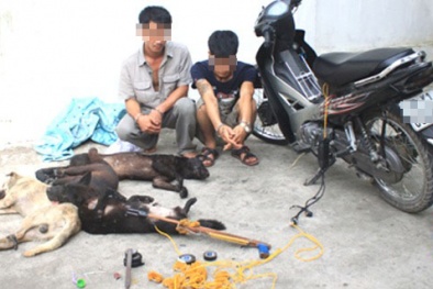 Gã trai được tặng 'cỏ Mỹ' về dùng, 2 'cẩu tặc' 'vi hành' lúc rạng sáng
