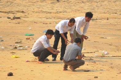 Chuyên gia của Đức, Mỹ, Israel sẽ tham gia tìm nguyên nhân hải sản chết bất thường