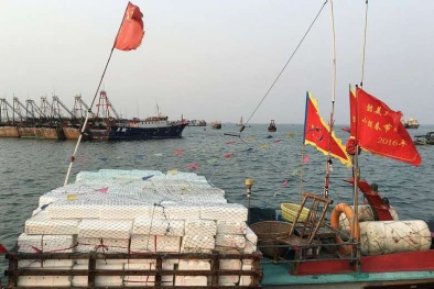 Hạm đội tàu cá Trung Quốc trang bị vũ khí, GPS ồ ạt kéo ra Biển Đông