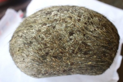 Hồi hộp chờ kết luận chính xác vụ tìm thấy ‘cát lợn’ 21 tỷ đồng ở Hà Nội