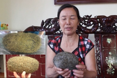 Những điều chưa biết về vật cứng có lông trị giá hàng chục tỉ đồng trong dạ dày lợn