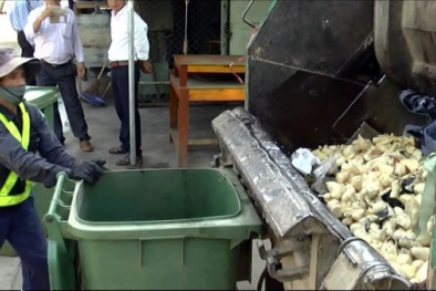 400kg măng tươi chứa chất vàng ô 'bị tóm' tại Quảng Nam