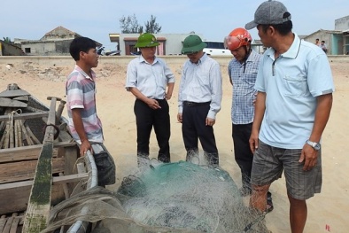 Phát hiện cá chết xếp lớp dưới đáy biển ở Quảng Bình